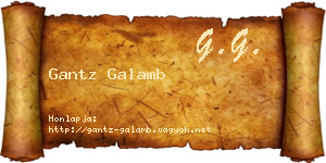 Gantz Galamb névjegykártya
